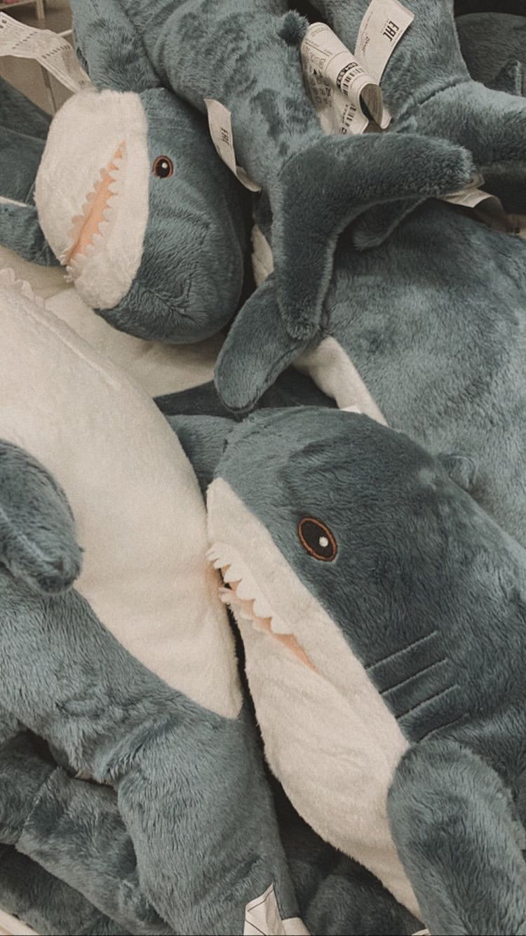 750x1334  Обои с акулой Блохэй | Обои