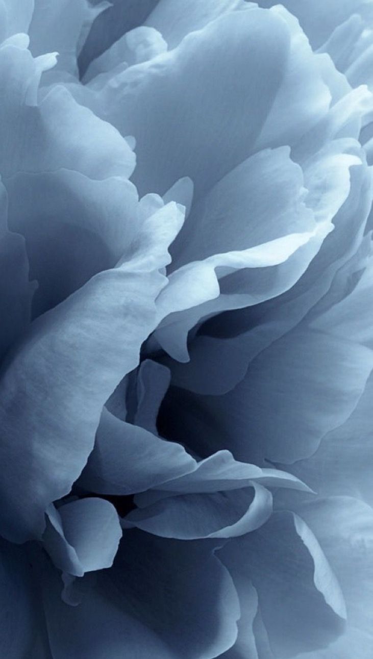 731x1292  Обои на телефон в синих тонах - 58 фото