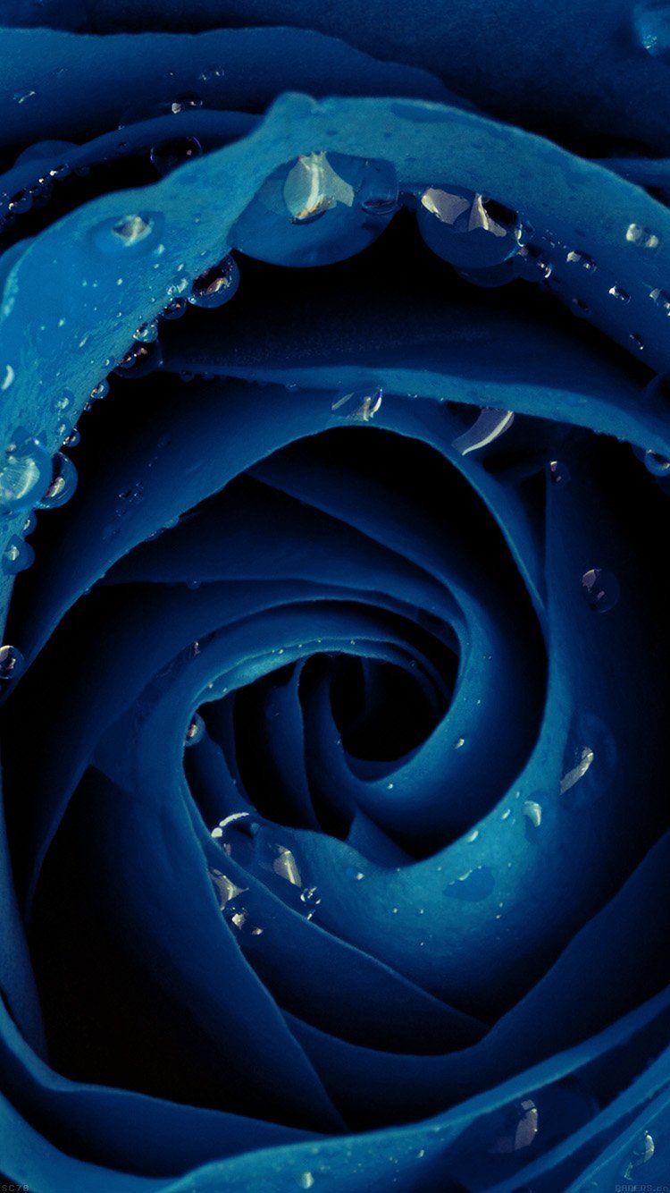 750x1334  Розово голубые обои - 78 фото