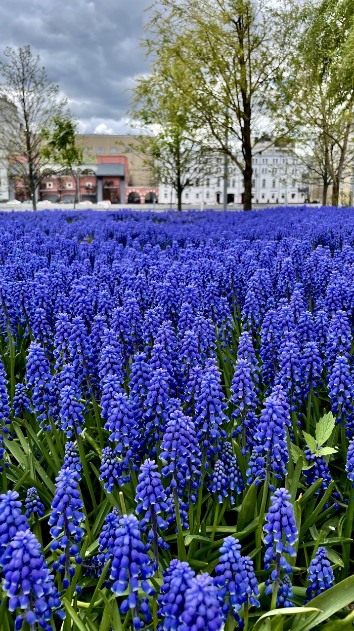 700x1245  Обои на телефон: истории из жизни, советы, новости, юмор и картинки —  Лучшее | Пикабу