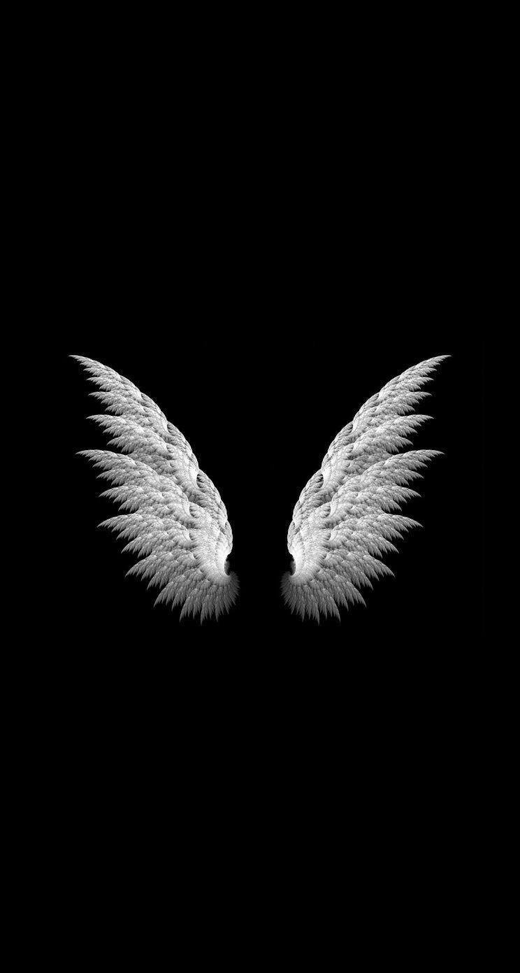 744x1392  Angel Wings Simple Wallpaper | Black wallpaper, Wings wallpaper, Angel  wings iphone wallpaper
