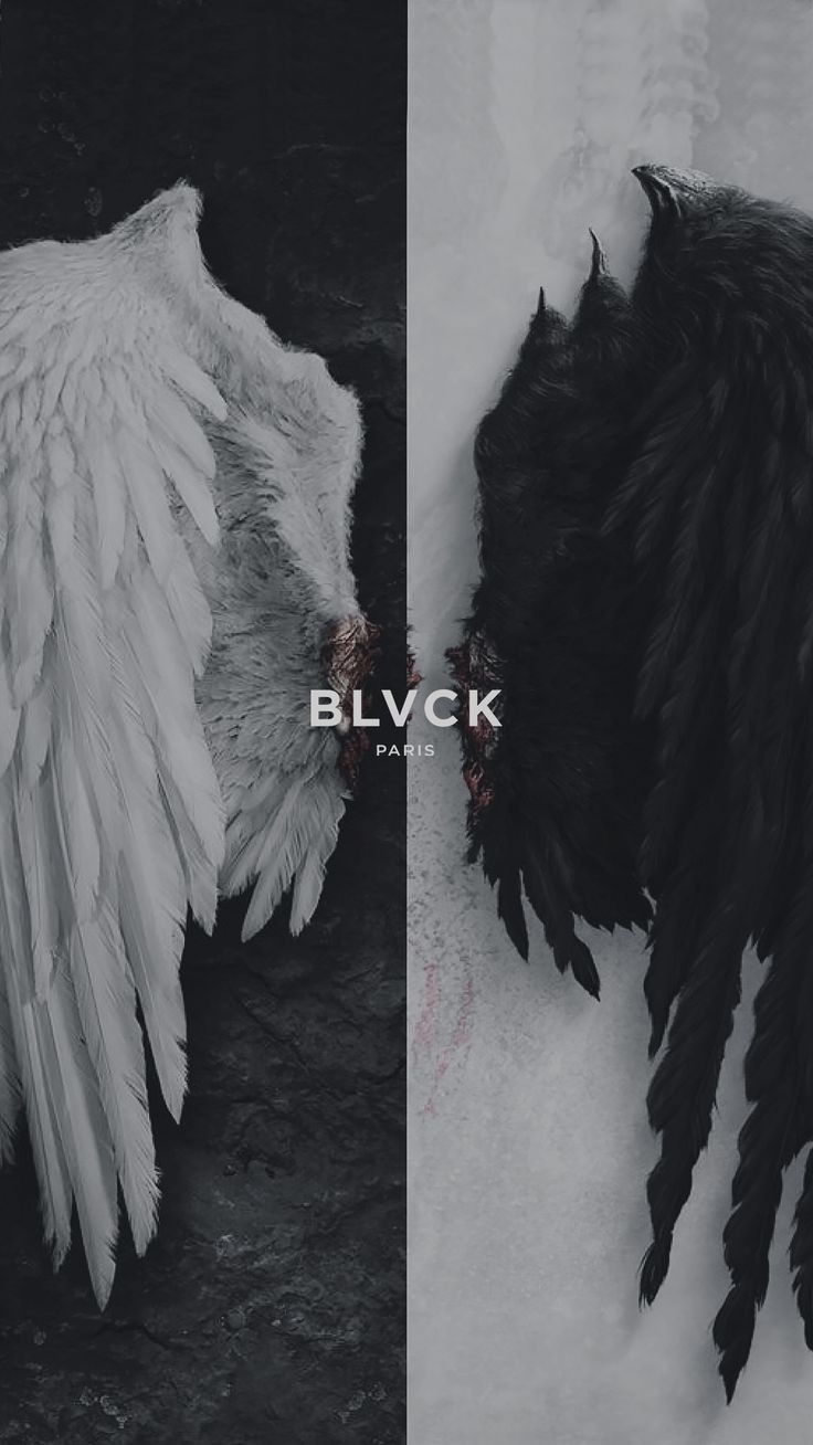 736x1308  Идеи на тему «Blvck paris» (11) | черные обои, фоновые рисунки, обои для  iphone