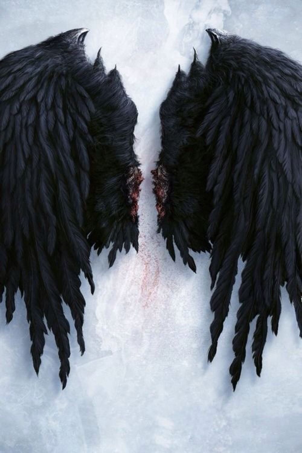 1000x1500  Крылья демона и ангела - 64 фото