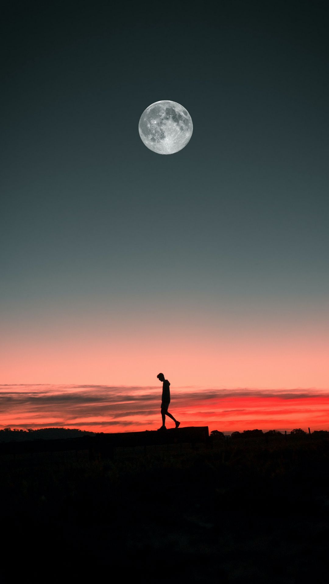 1080x1920  Скачать 1080x1920 одиночество, одинокий, луна, силуэт, закат обои, картинки  samsung galaxy s4, s5, note, sony xperia z, z1, z2, z3, htc one, lenovo vibe