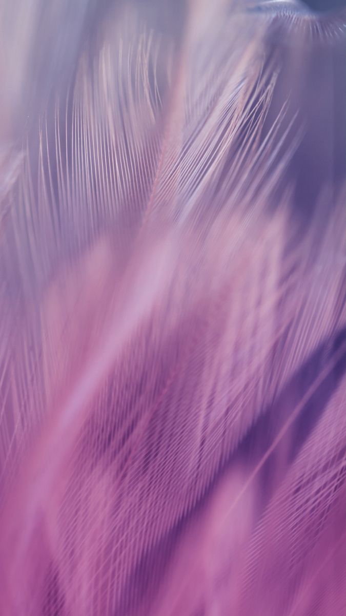 675x1200  Pin by Julia Johnson on Обои фон | Dandelion wallpaper, Abstract wallpaper  design, Phone wallpaper images