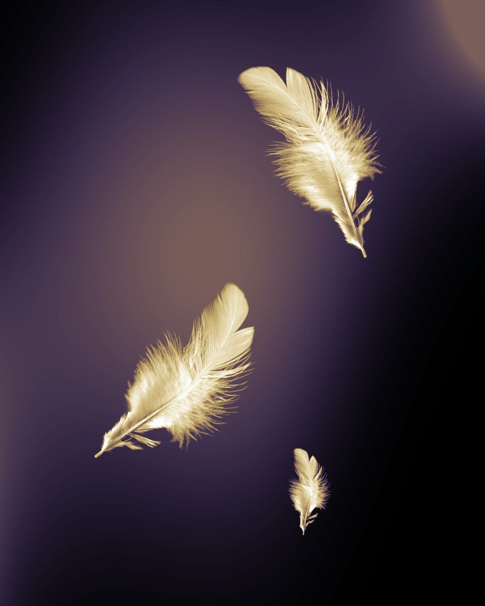 960x1200  Золотые перья фон - 55 фото