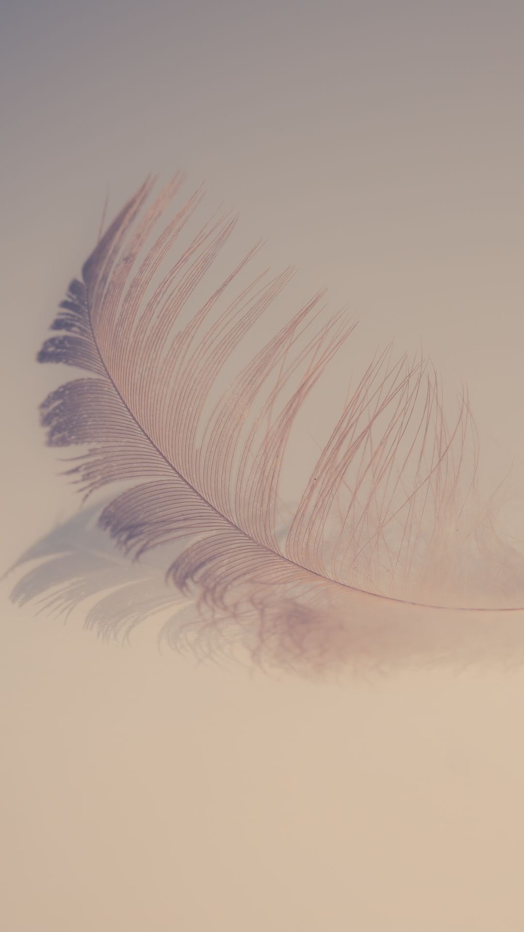 1080x1920  Обои с перышками - 63 фото