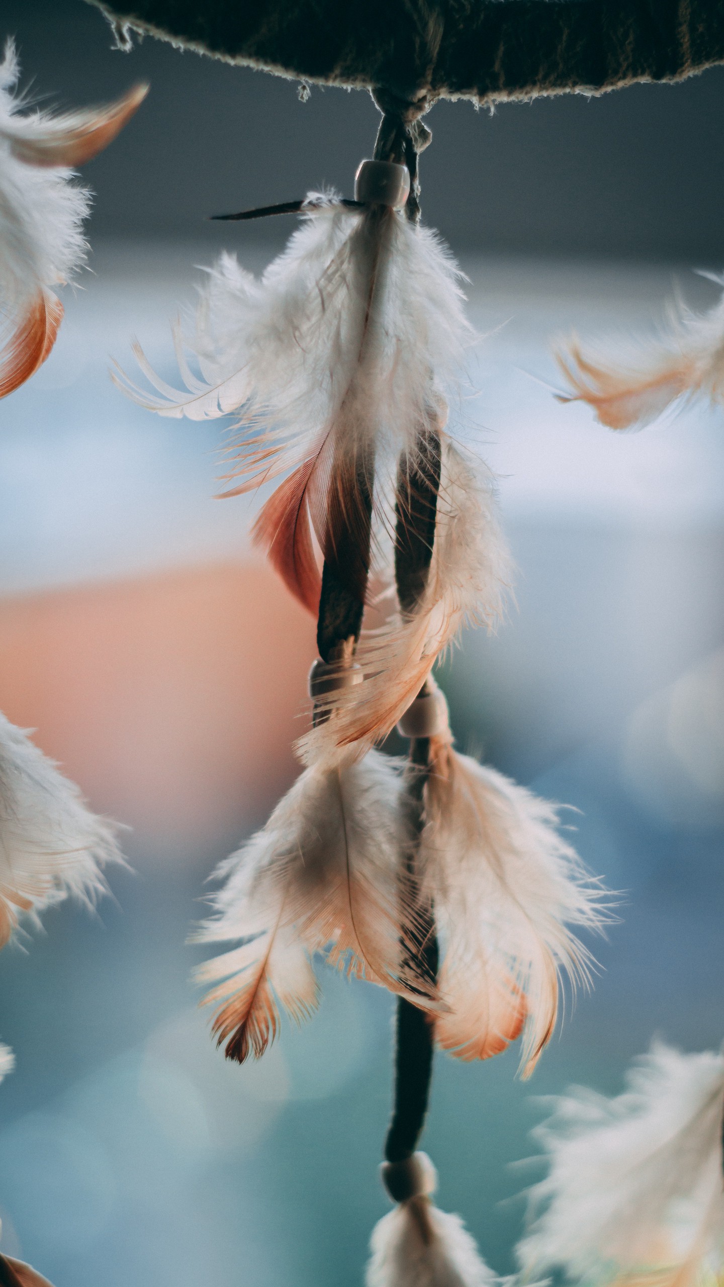 1440x2560  Обои на телефон перья, подвеска, украшение, макро - скачать бесплатно в  высоком качестве из категории \"Макро\"