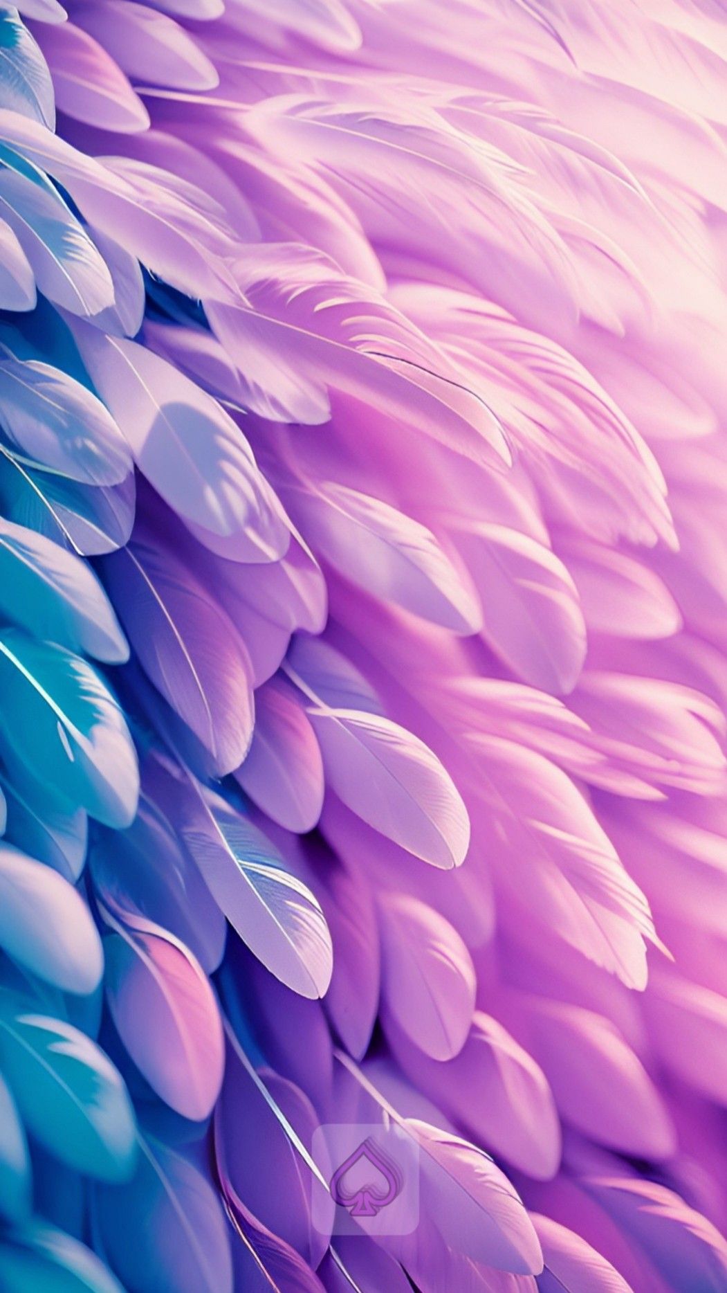 1051x1868  Feathers в 2023 г | Фиолетовые обои, Обои для телефона, Обои фоны