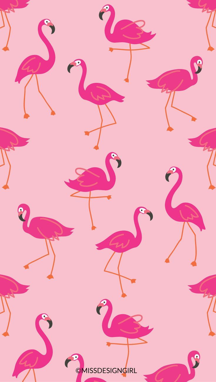 735x1301  Flamingo a-go-go! | Flamingo wallpaper, Pink flamingo wallpaper, Mobile  wallpaper