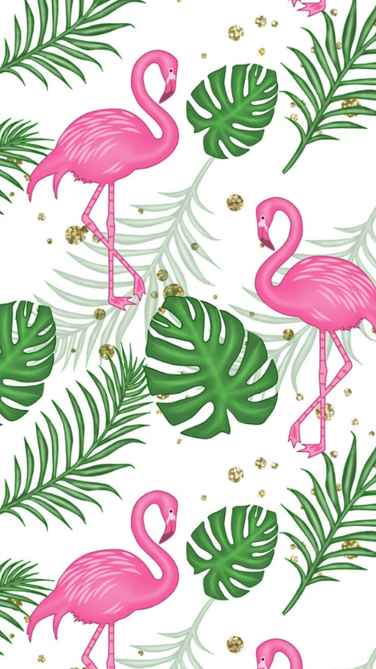 736x1308  Flamencos 2. | Flamingo wallpaper, Cupcakes wallpaper, Iphone wallpaper