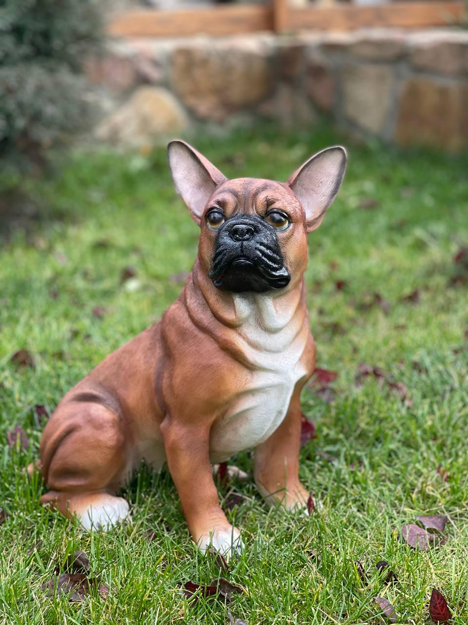 960x1280  Скачать 720x1280 французский бульдог, щенок, собака обои, картинки samsung  galaxy mini s3, s5, neo, alpha, sony xperia compact z1, z2, z3, asus zenfone