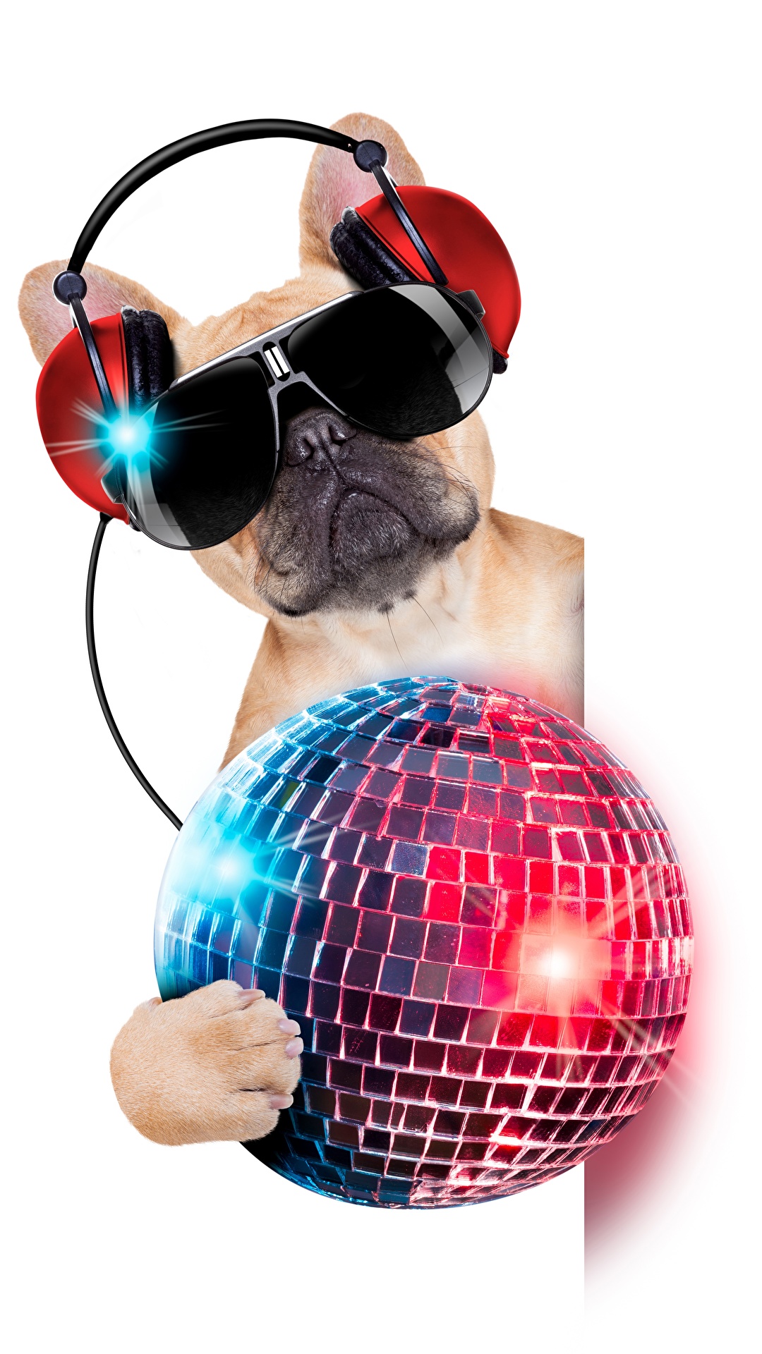 1080x1920  Силиконовый чехол / бампер / накладка для Samsung Galaxy A03s (A037) /  Самсунг Гэлакси А03с (А037) Krutoff 71702608 купить за 241 ₽ в  интернет-магазине Wildberries