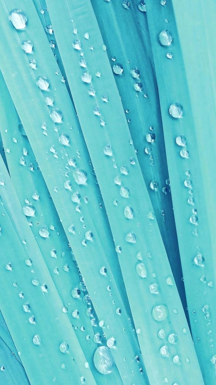 736x1309  Пин от пользователя Ahmed Wanees на доске Обои на телефон | Океанские волны,  Живописные пейзажи, Пей… | S… | Ocean wallpaper, Scenery wallpaper,  Landscape wallpaper