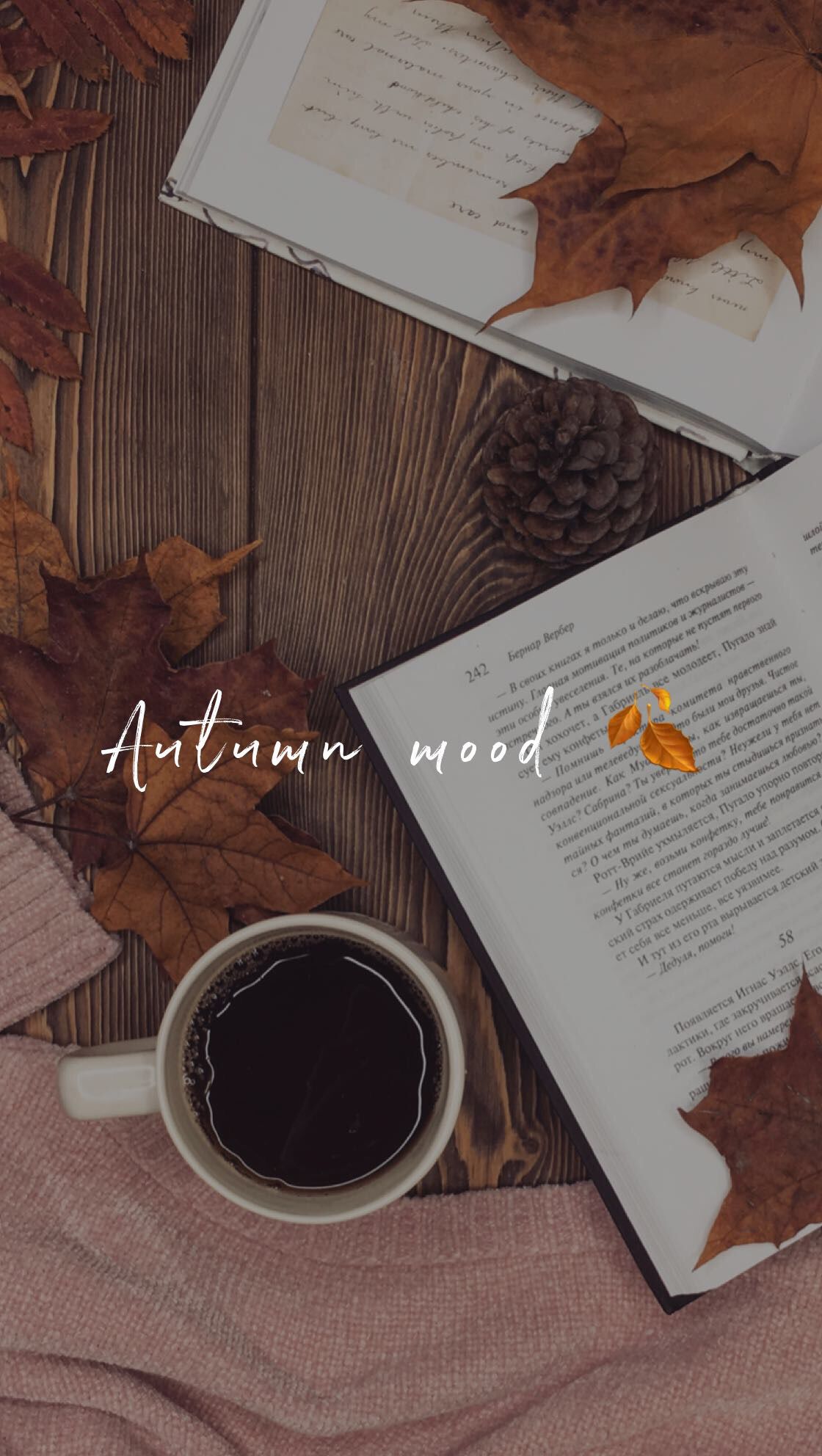 1120x1984  Autumn mood | Cute fall wallpaper, Fall wallpaper, Autumn photography