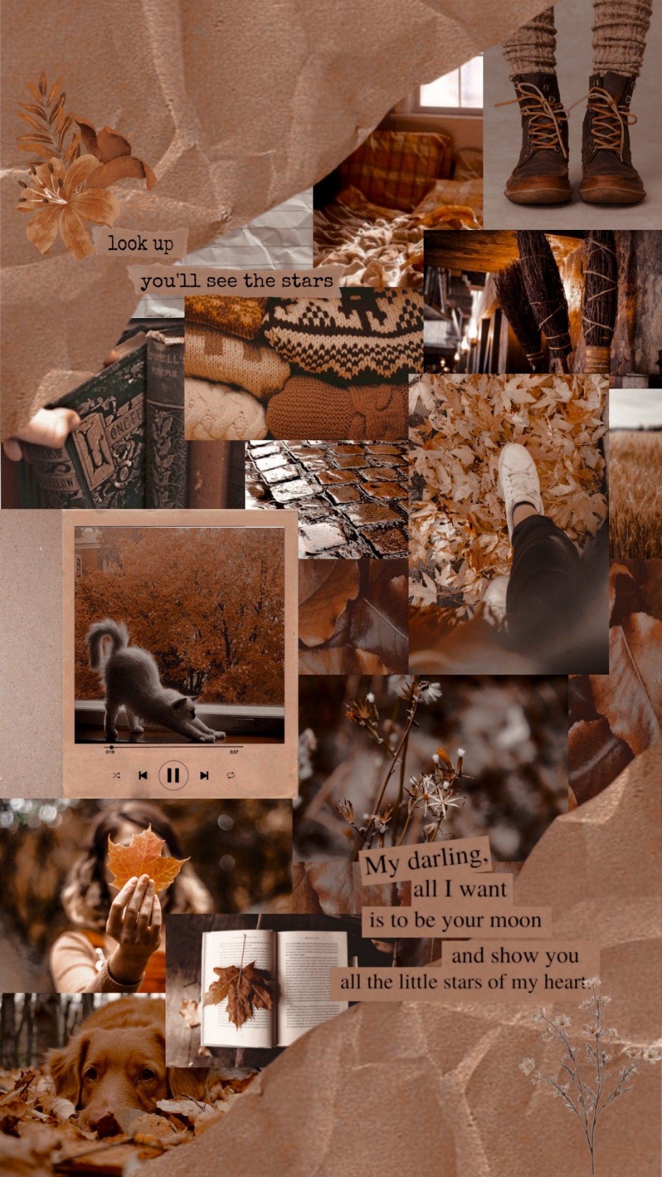 1288x2289  autumn wallpaper aesthetic осень обои @pten_pten Twitter | Осенние  изображения, Осенние картинки, Осенние фотографии