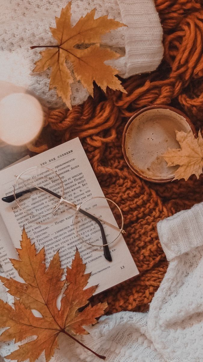 675x1200  Pin by Melisavarelamariotti on óptica | Cute fall wallpaper, Fall wallpaper,  Autumn photography
