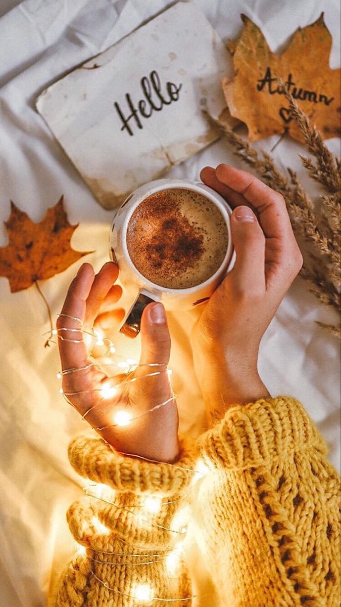 675x1200  Обои для телефона в HD качестве | Осенние изображения, Фотографии пикника, Осенние  картинки