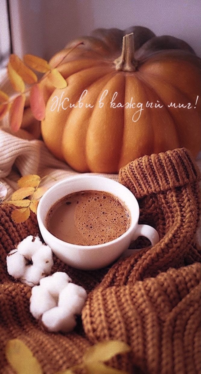 667x1242  Осенняя эстетика | Осенний домашний декор, Обои для телефона, Осенние  картинки