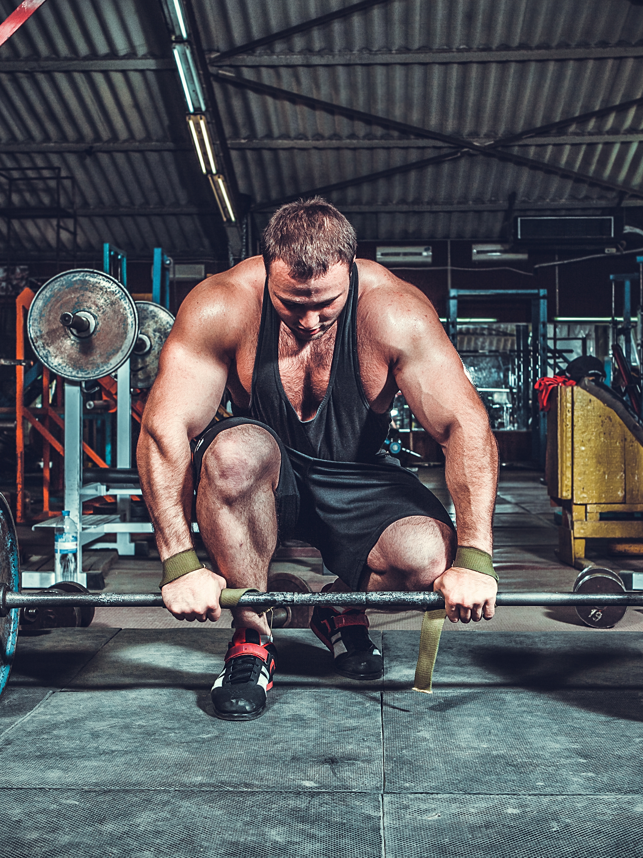 2048x2732  НОСОРОГ ПРО - 14