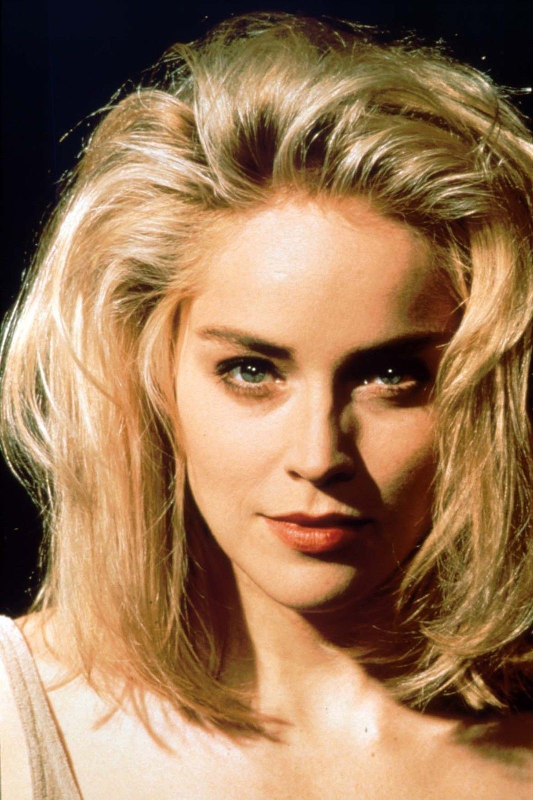 1066x1600   Шэрон Стоун фото 154 из 955 фото обои - фото # 88319 - ThePlace2