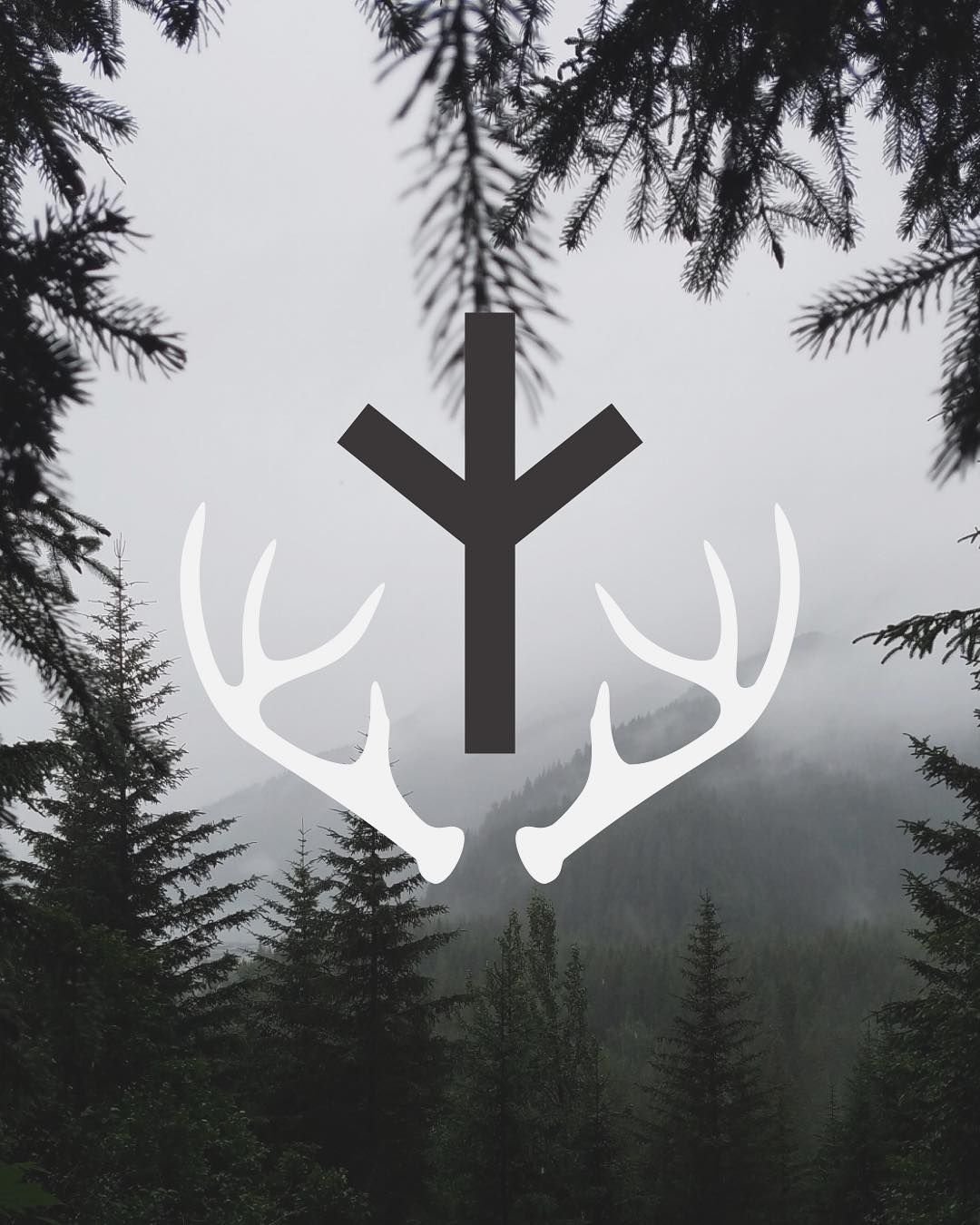 1080x1350  Вегвизир обои на телефон - 69 фото