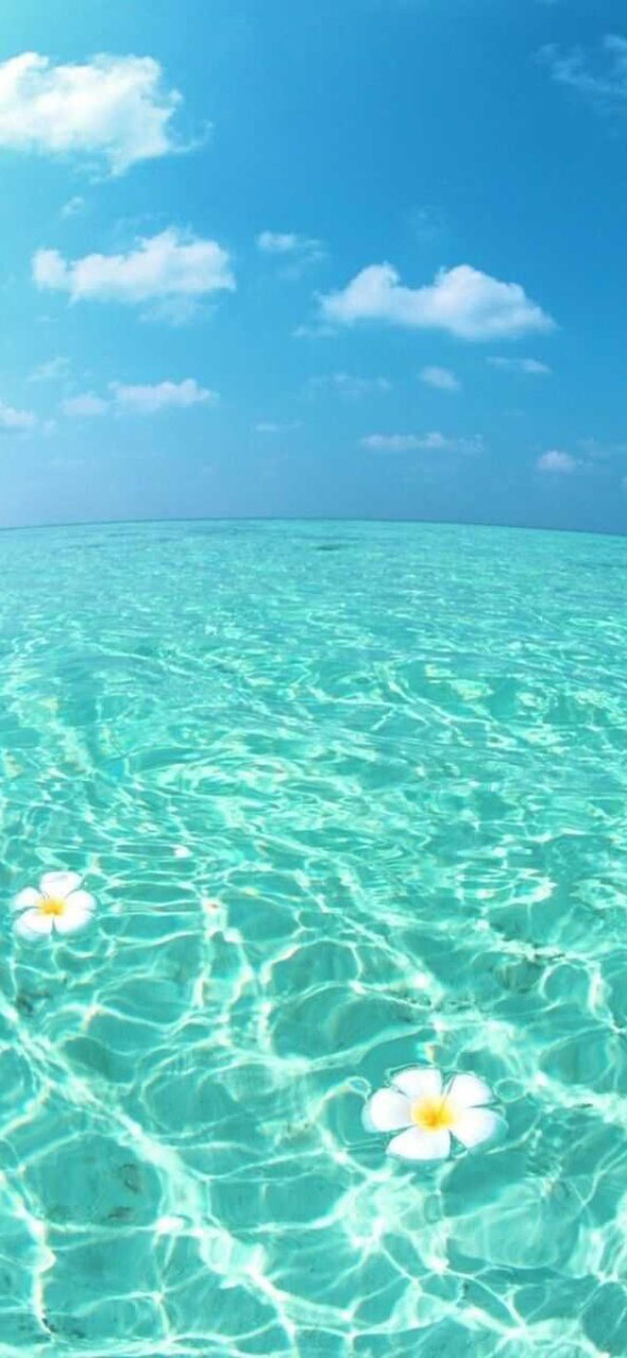 1284x2778  Успокаивающие обои на телефон [26+ изображений]