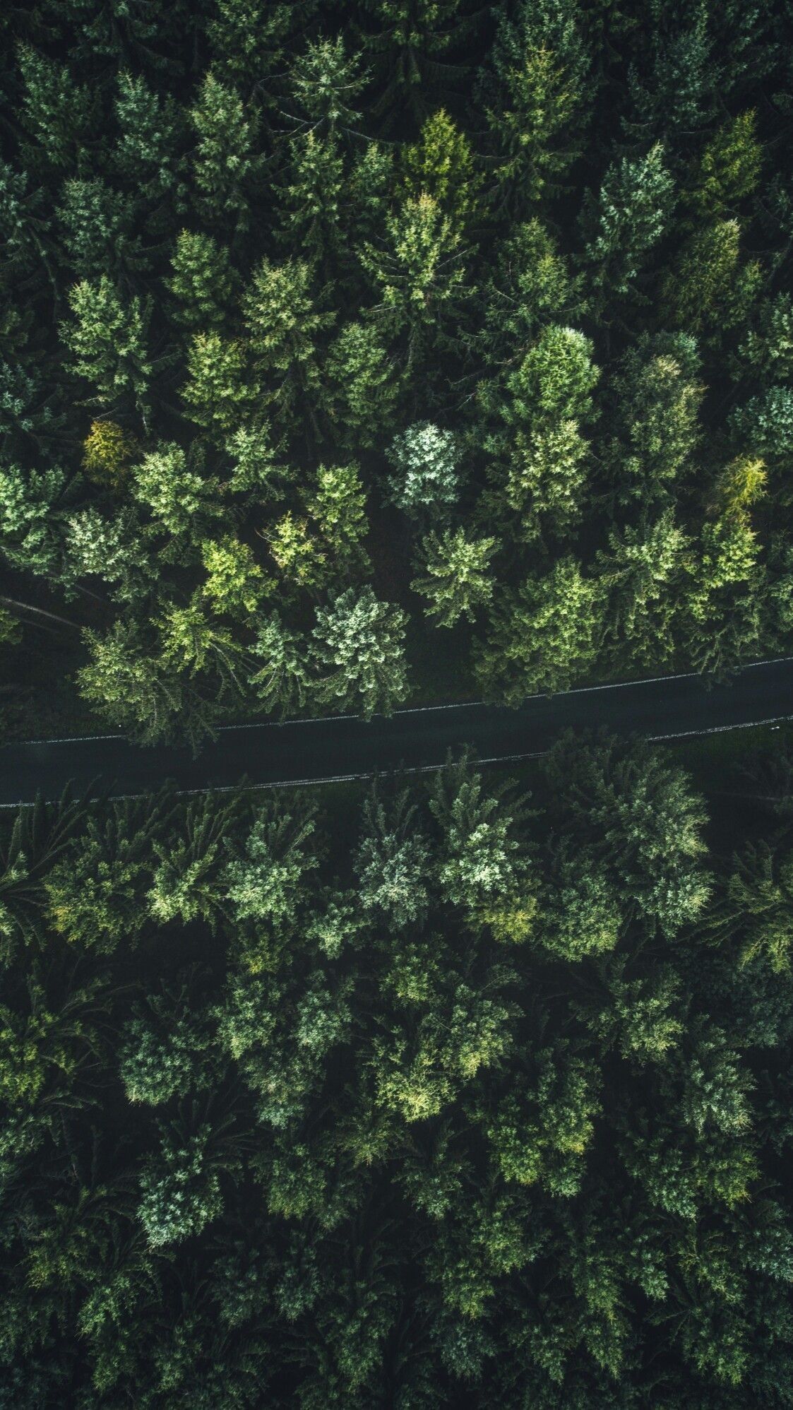 1123x1996  Pin by Peter Graschitz on My Saves | Scenery, Eyes wallpaper, Nature  photography