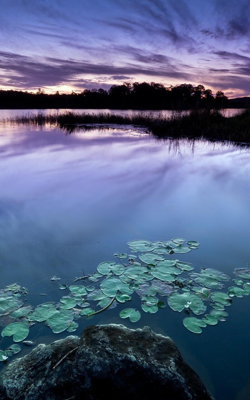 800x1280  Успокаивающие картинки на телефон - 67 фото