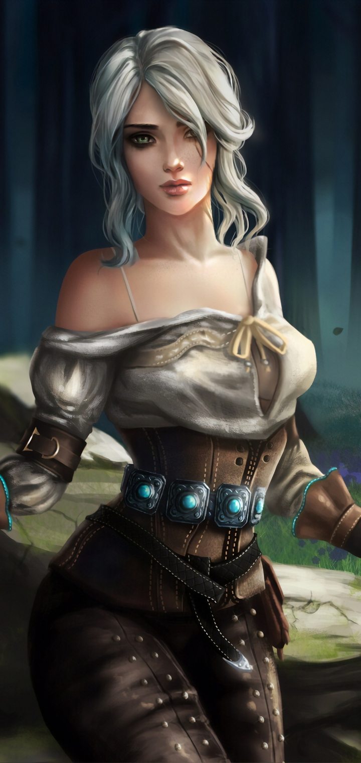 720x1520  Mobile wallpaper: Video Game, White Hair, Woman Warrior, The Witcher, The  Witcher 3: Wild Hunt, Ciri (The Witcher), 1190763 download the picture for  free.