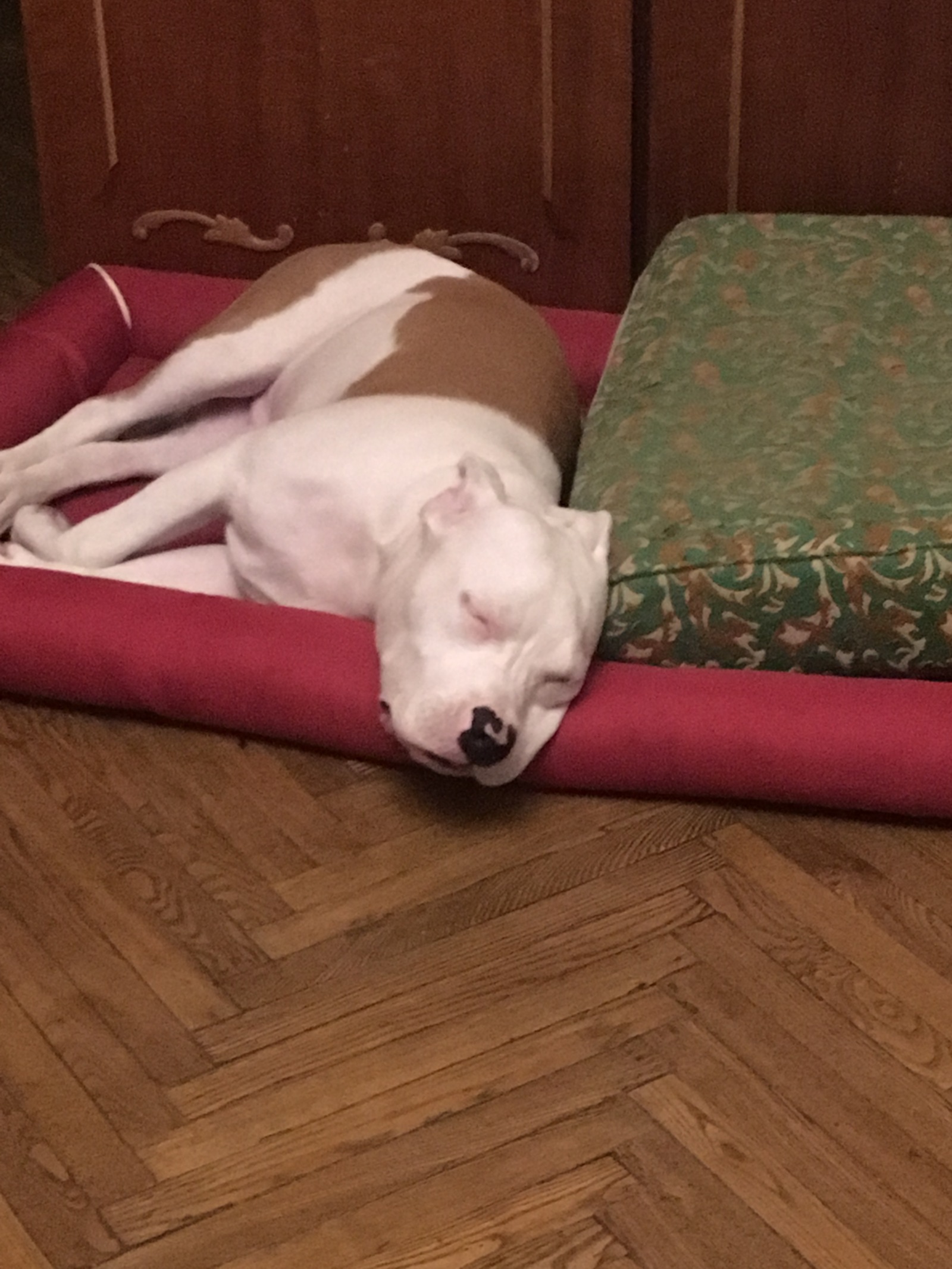 1600x2133  надеюсь на актив 💗) как вам ? делать 2 часть?)#осень #обои #обоинател... |  TikTok