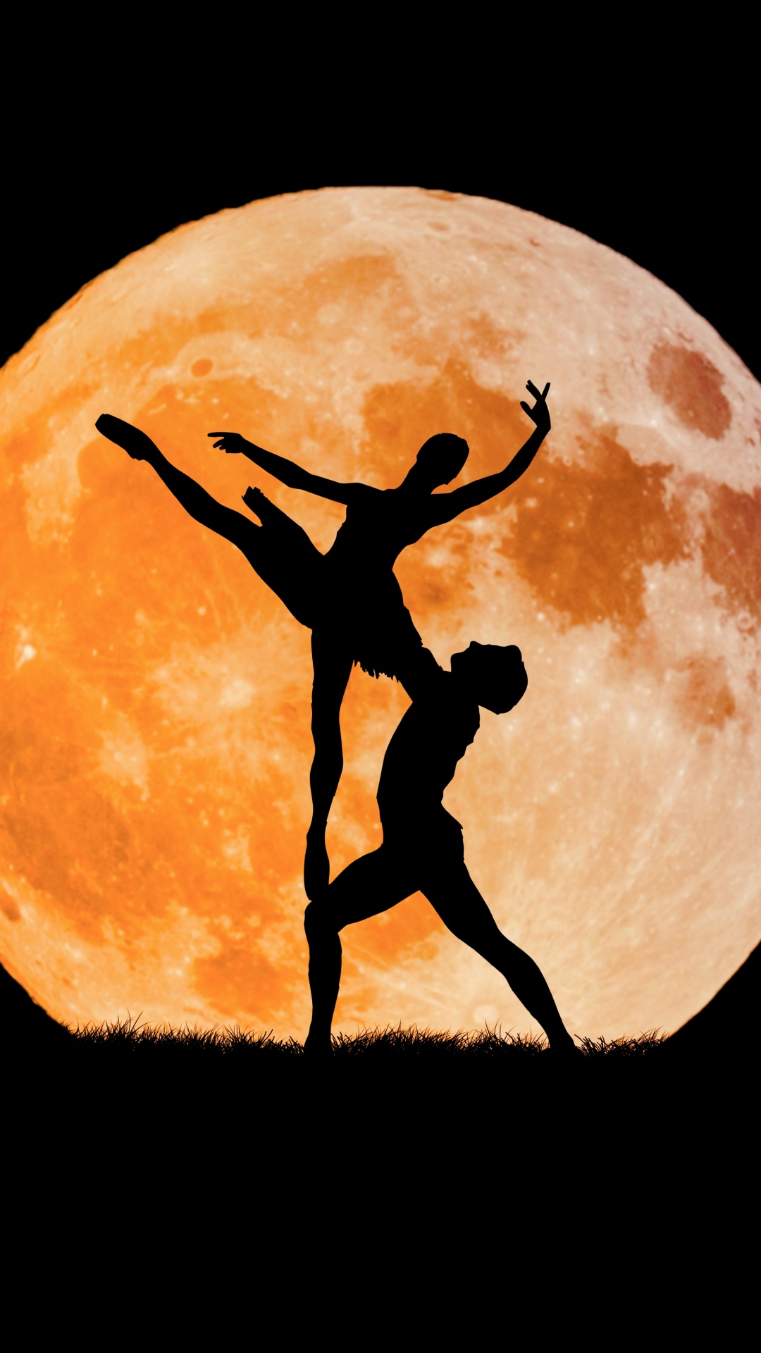 1080x1920  Балерина обои на телефон [42+ изображений]