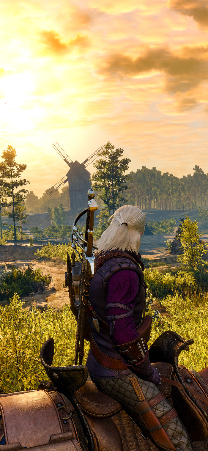 700x1517  Игра \"Ведьмак 3: Дикая охота\": новости, отзывы, приколы, обзоры модов — Все  посты, страница 101 | Пикабу