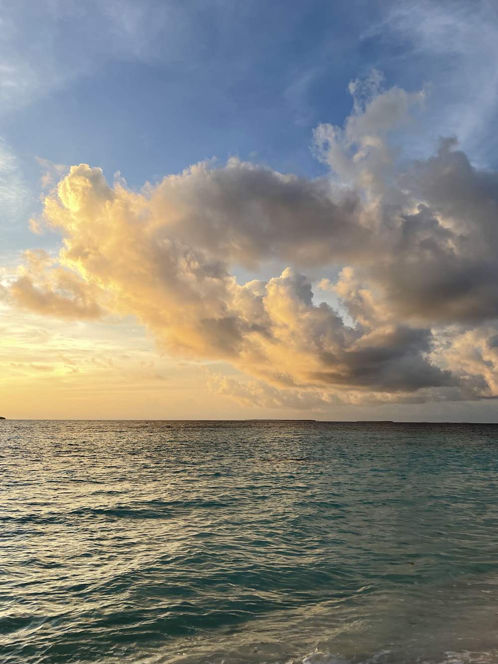 1000x1333  The Noisetier - WALLPAPERS