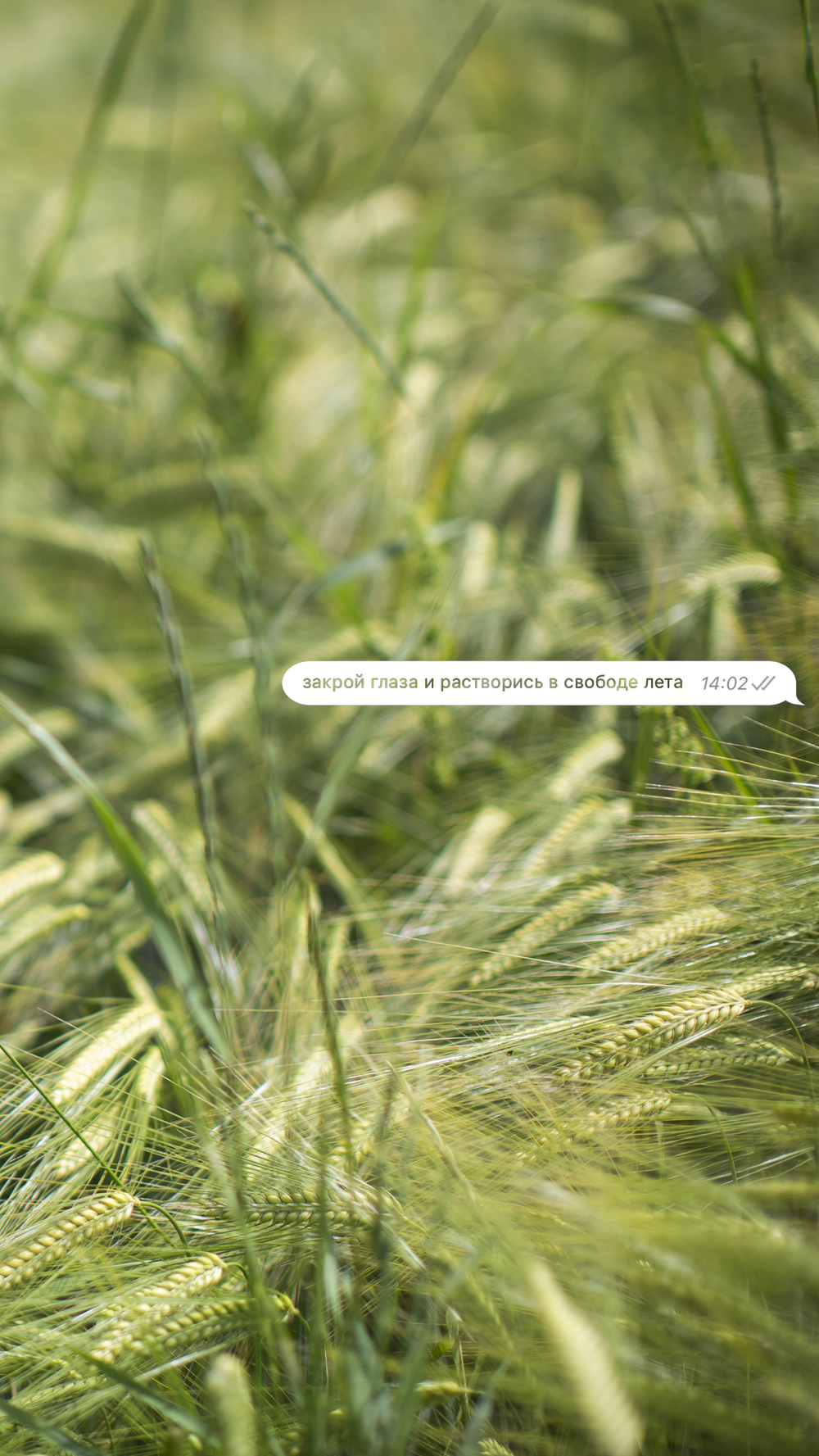 1000x1777  The Noisetier - WALLPAPERS