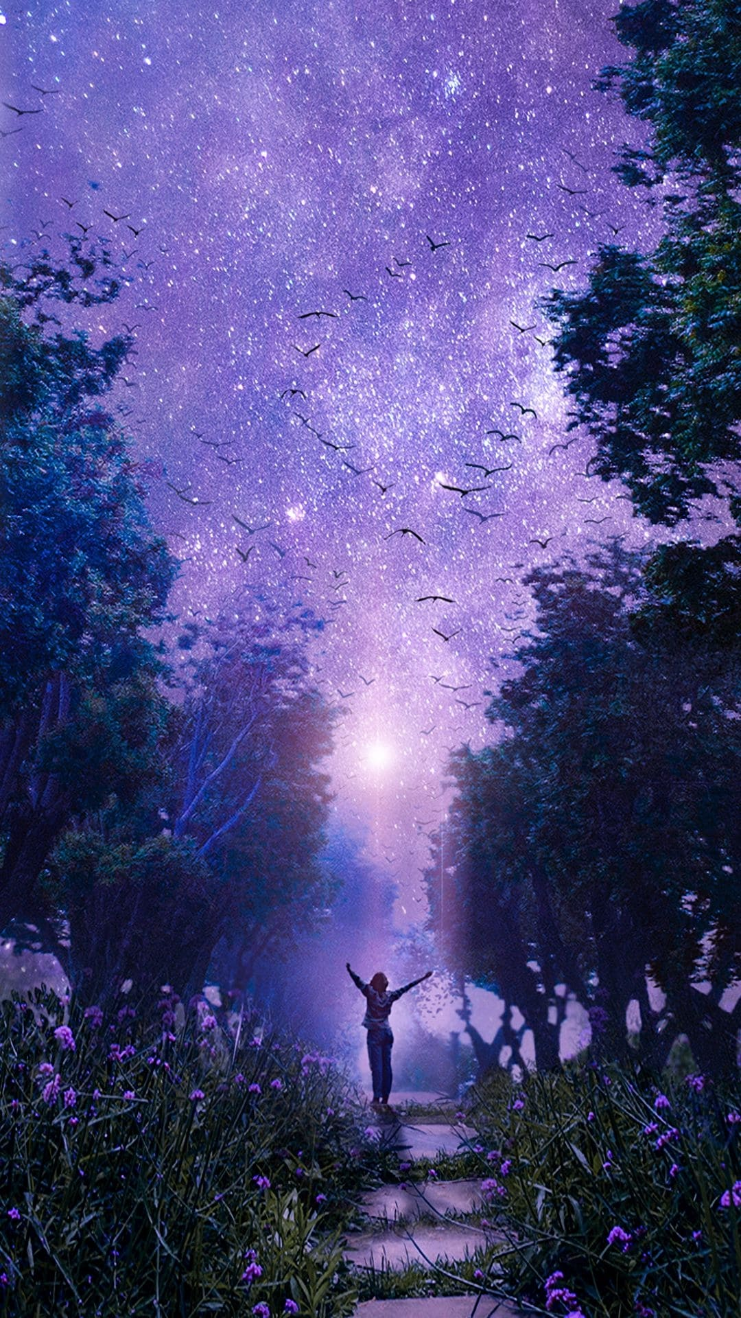 1080x1920  Звездное небо обои