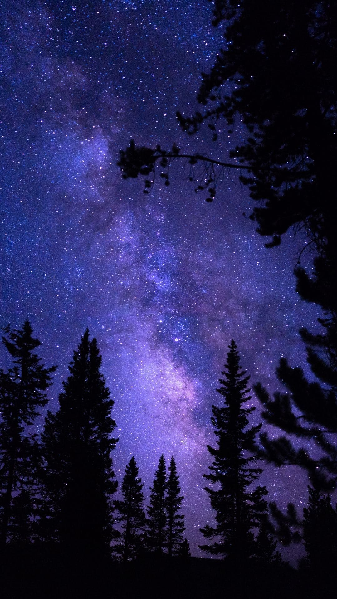 1080x1920  Звездное небо обои