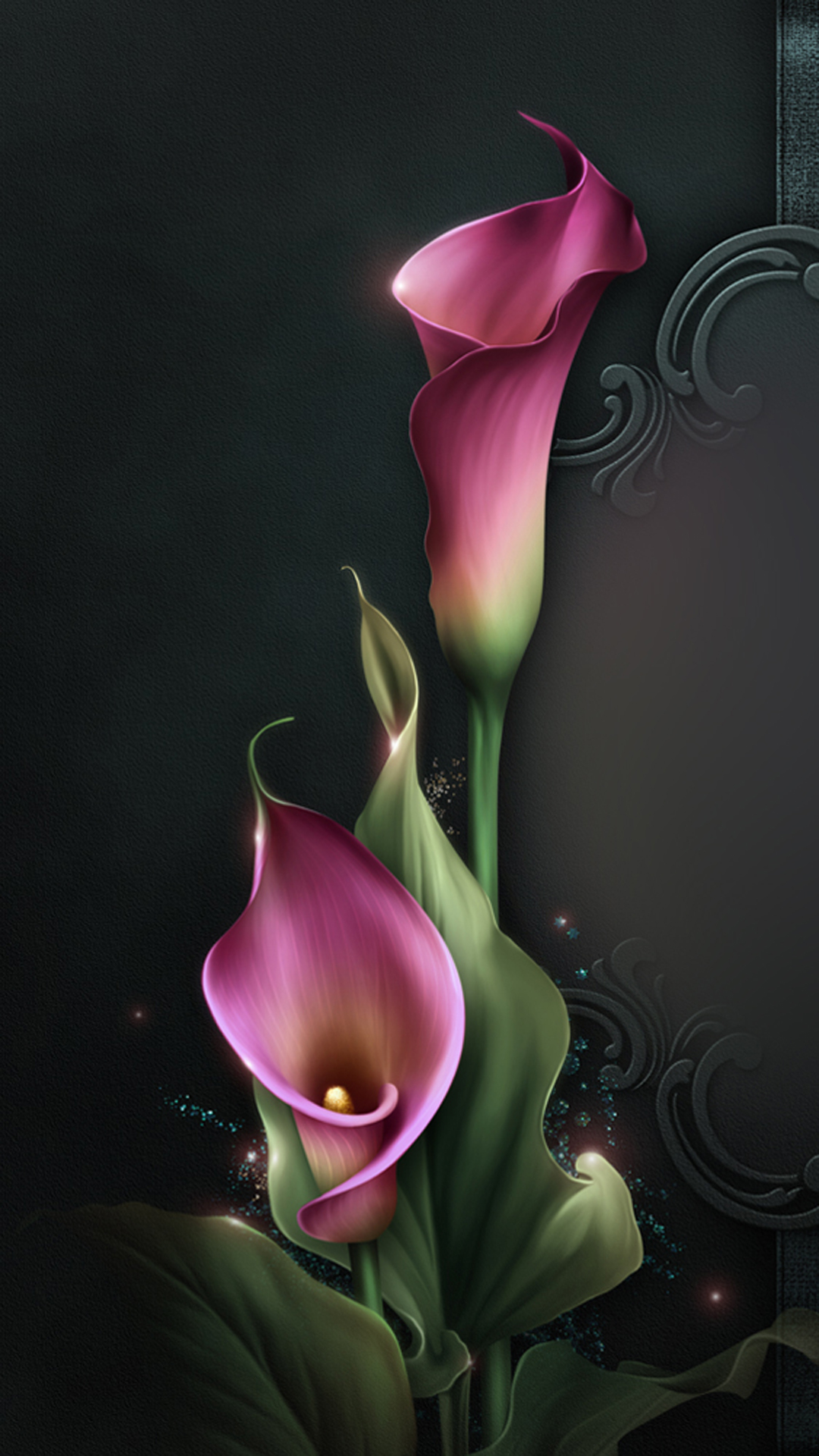 1080x1920  Каллы обои на телефон [46+ изображений]