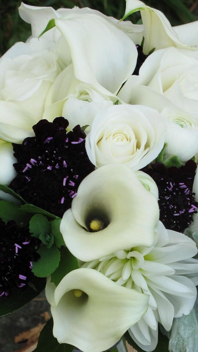 800x1420  Pin by Debbie Kanoyan on Floral | Flower aesthetic, Orchid wallpaper,  Flower wallpaper