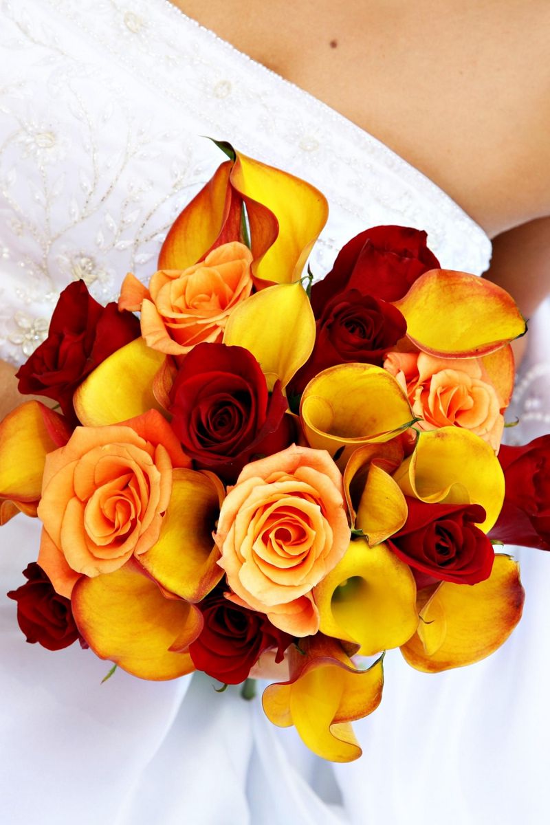 800x1200  Картинка Букеты Розы белокрыльник Цветы 1080x1920