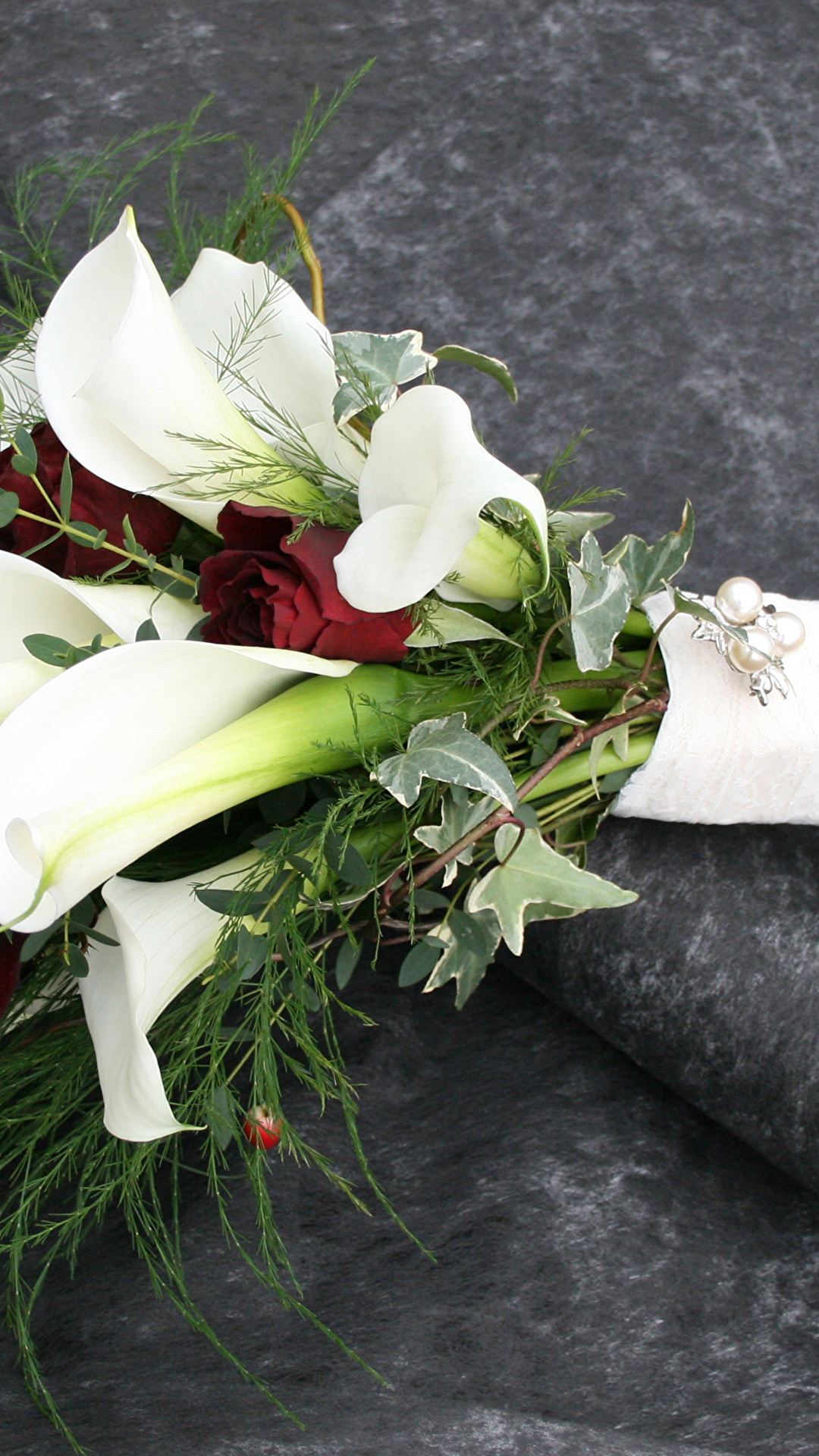 1080x1920  5 000+ обоев и картинок на телефон бесплатно - Pixabay