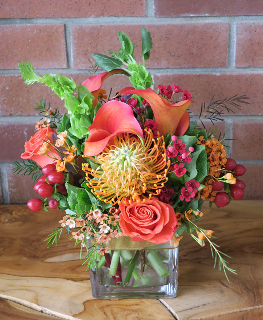 844x1024  Скачать обои \"Герберы\" на телефон в высоком качестве, вертикальные картинки  \"Герберы\" бесплатно