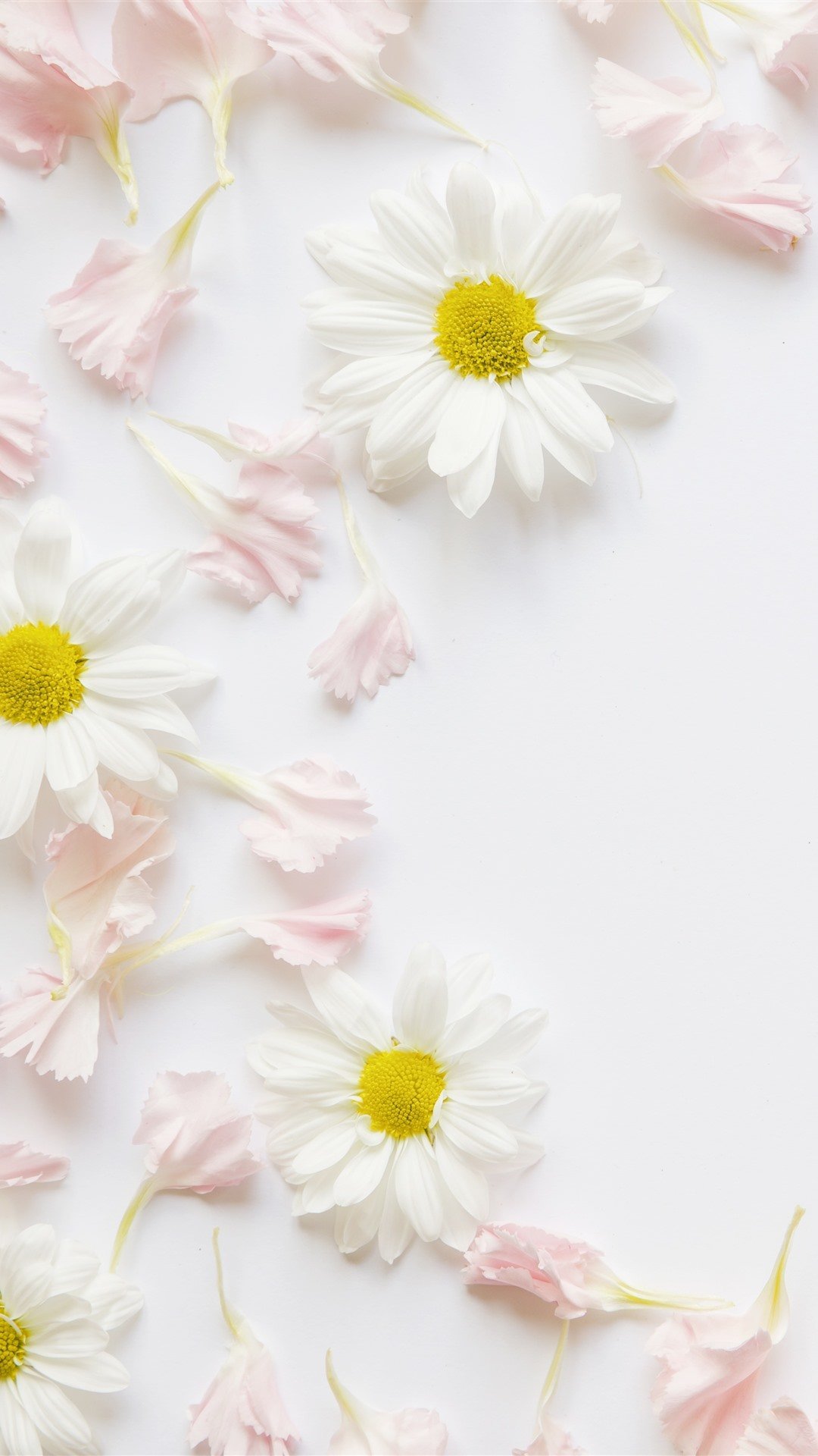 1080x1920  Скачать Красивые Обои на Телефон APK для Android