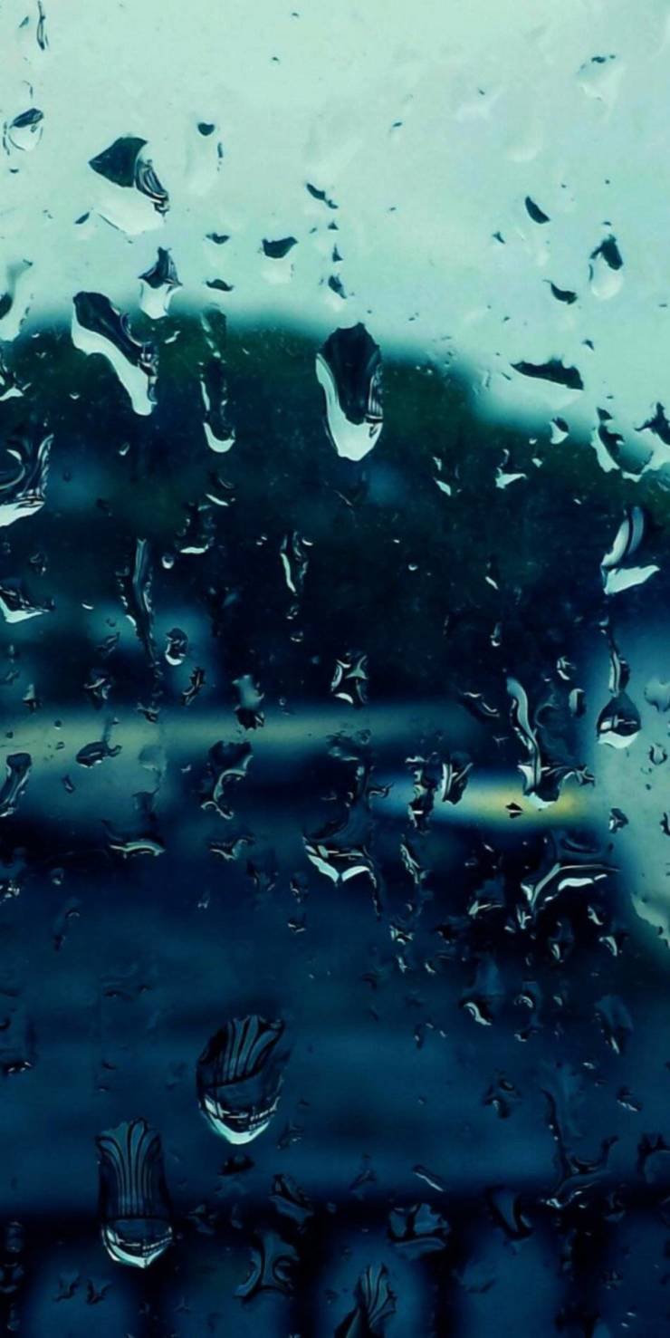 740x1477  Оригинальные обои для вашего смартфона