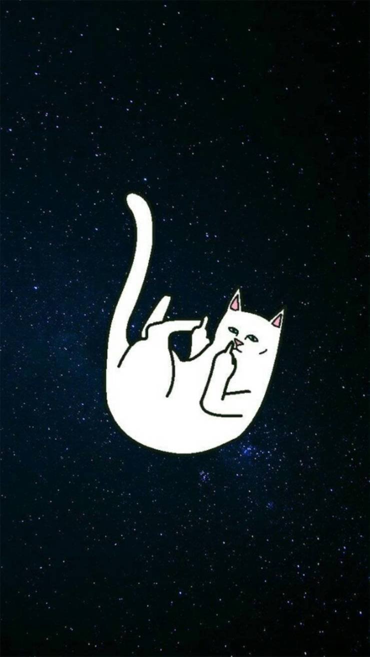 740x1313  Оригинальные обои для вашего смартфона