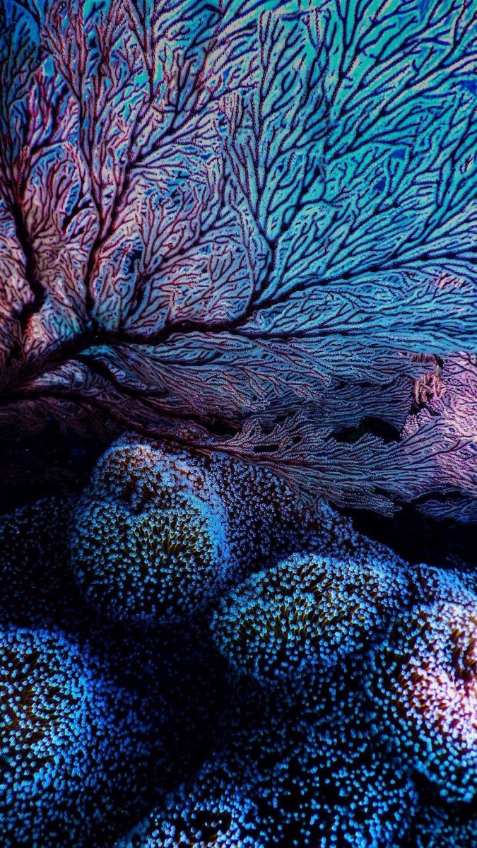 675x1200  Необычные обои для телефона - фото и картинки: 71 штук