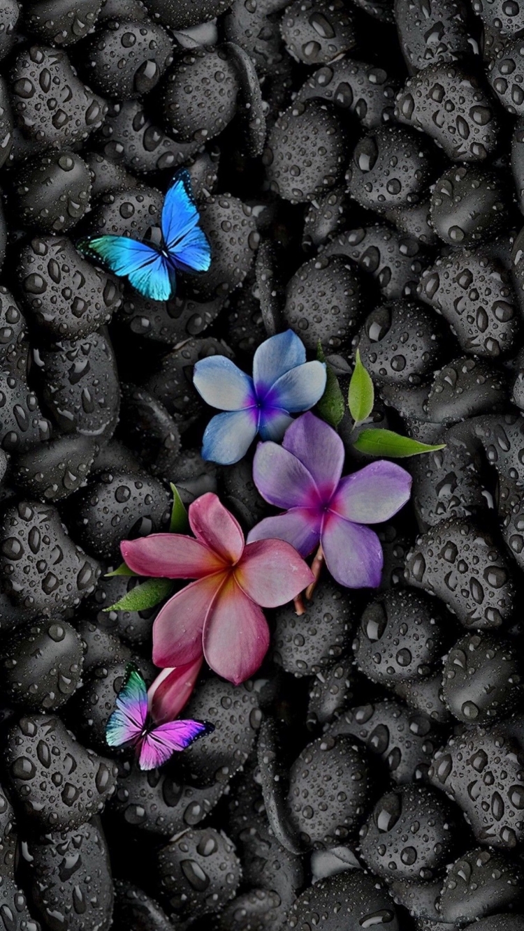 750x1333  Необычный фон на телефон - 67 фото