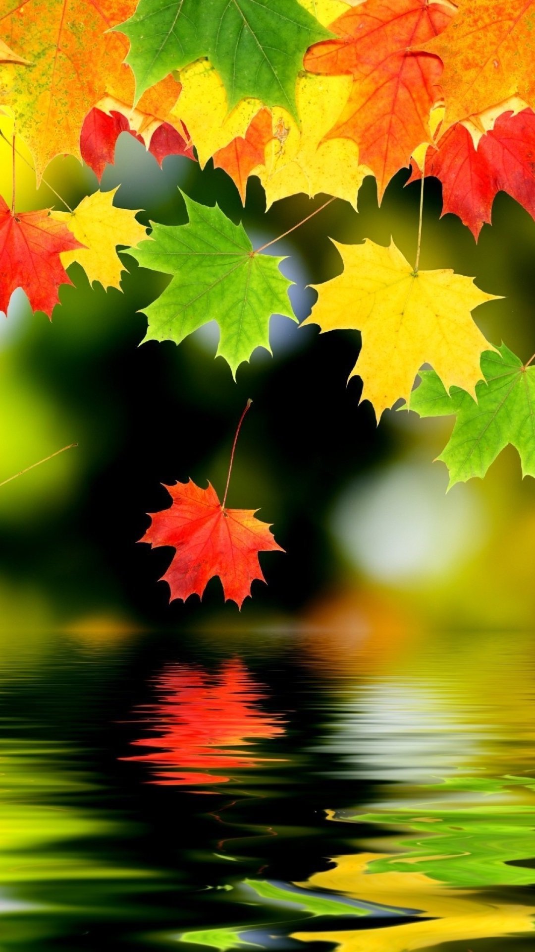 1080x1920  Осень обои на телефон - фото и картинки: 67 штук