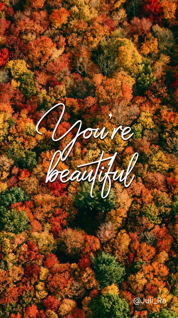 736x1308  Новые и красивые картинки осень на телефон за 2023 год