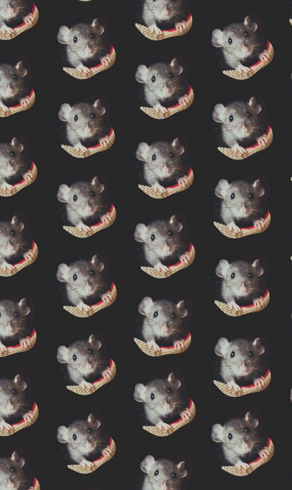 980x1643  Крыса обои на телефон - 63 фото